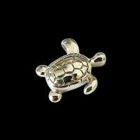 Ashanger Schildpad Ashanger Schildpad